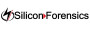 Silicon Forensics