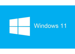 Windows 11 Pro 64 Bit English