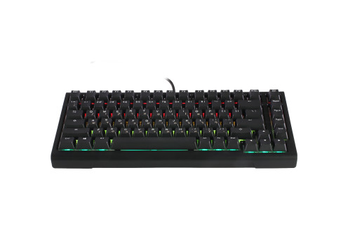 מקלדת מכנית Ducky ProjectD Tinker 75 Cherry Silver Switch