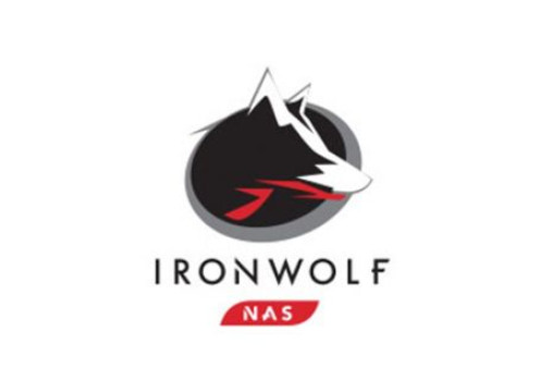Seagate 8.0TB 7200 256MB SATA3 NAS IRONWOLF HDD